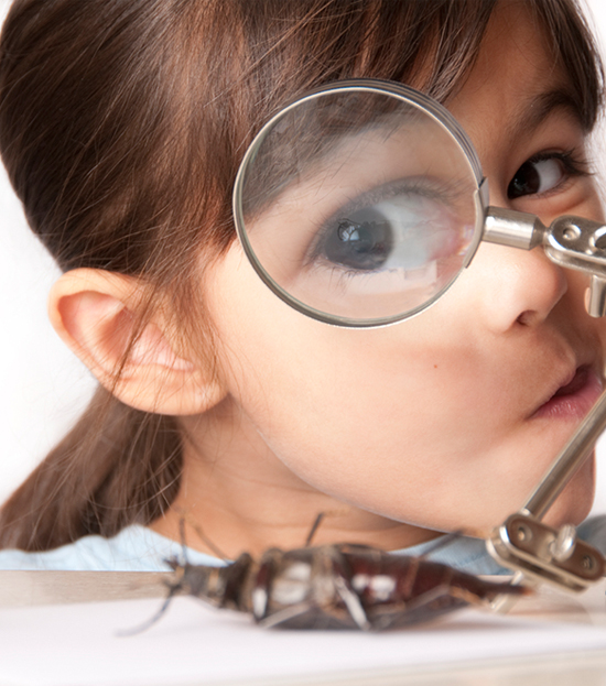 girl looking through a magnifying glass at an insect