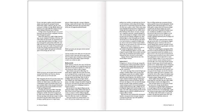 A4 text and image documents (Indesign) | Studentwebben