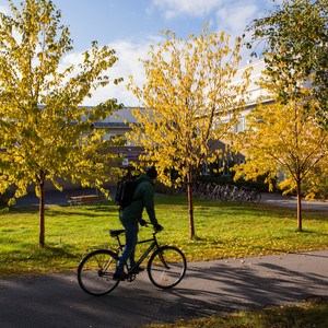 cyklist bland höstfärger