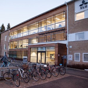 Campus SLU Umeå. Foto: Jenny Svennås-Gillner.