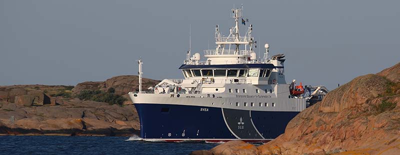 SLU's research vessel Svea, photo.