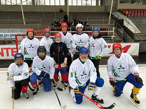 Medarbetarnas lag i Ultuna Winter Classic, foto.