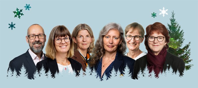The University management on a light blue background, illustrations of snow stars and a Christmas tree. Montage.