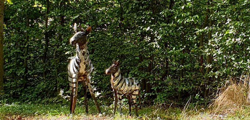 Skulptur av zebror, foto.