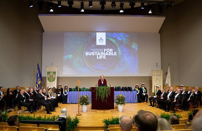A festively dressed Vice-Chancellor Maria Knutson Wedel at the podium on the Doctoral Award Ceremony.