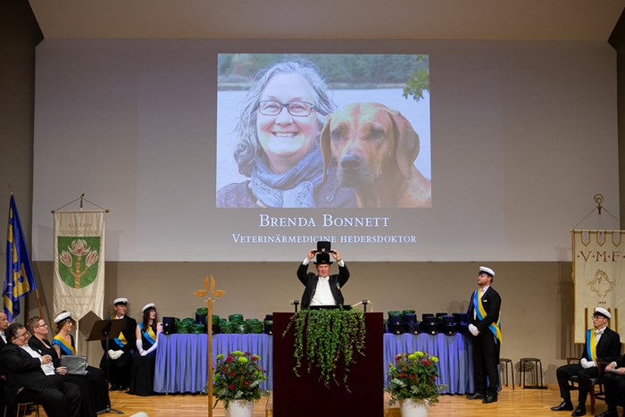 Promotor Ulf Magnusson håller upp Brenda Bonnetts doktorshatt och promoverar henne in absens. Ovanför honom visas en bild av Brenda Bonnett.