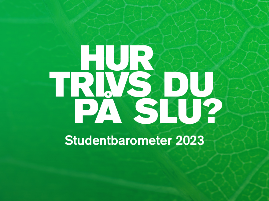 Studentbaromtetern 2023