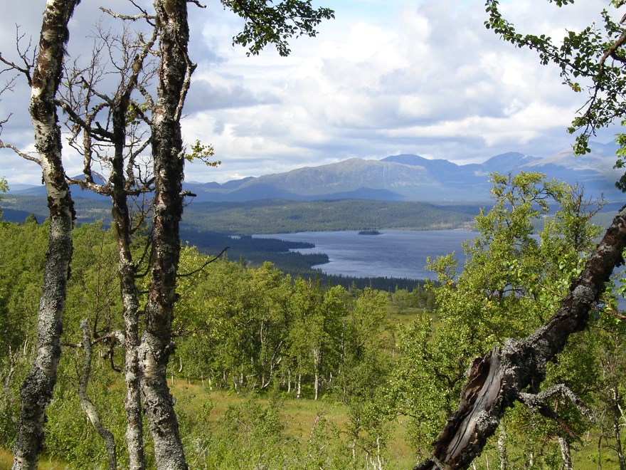 Bild från Malgomaj, Vilhelmina. Fotograf: Mikael Strömberg