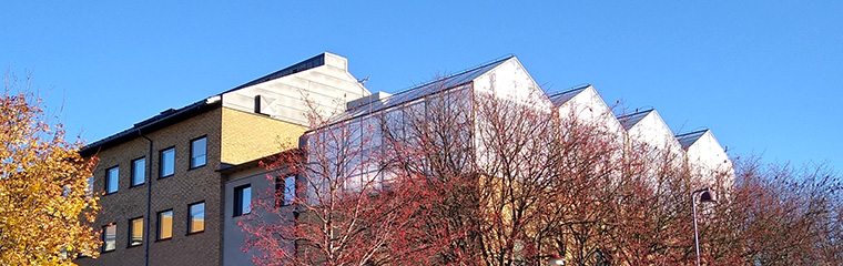 Greenhouse on the roof of a yellowish building 