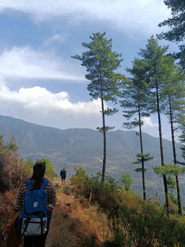 Two people walk with their backs to the camera in a rocky landscape with trees.