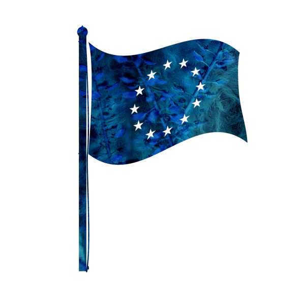 Illustration av EU-flagga