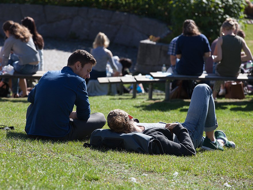 Studenter ligger i solen på gräsmatta, foto.