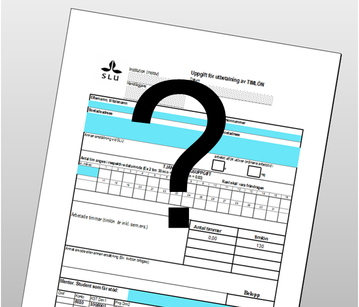Formuläret för att fylla i timlönen i är täckt av ett stort, svart frågetecken. Illustration.