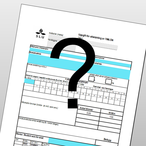 The form for filling in the fee paid by the hour is covered with big, black question mark. Illustration.