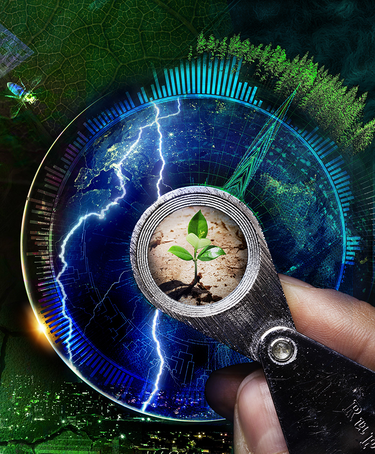 bild av växtstickling sedd genom lupp