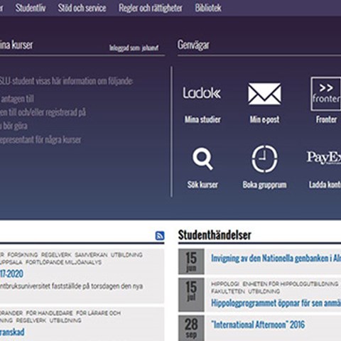 studentwebben_mini.jpg studentwebben_mini.jpg