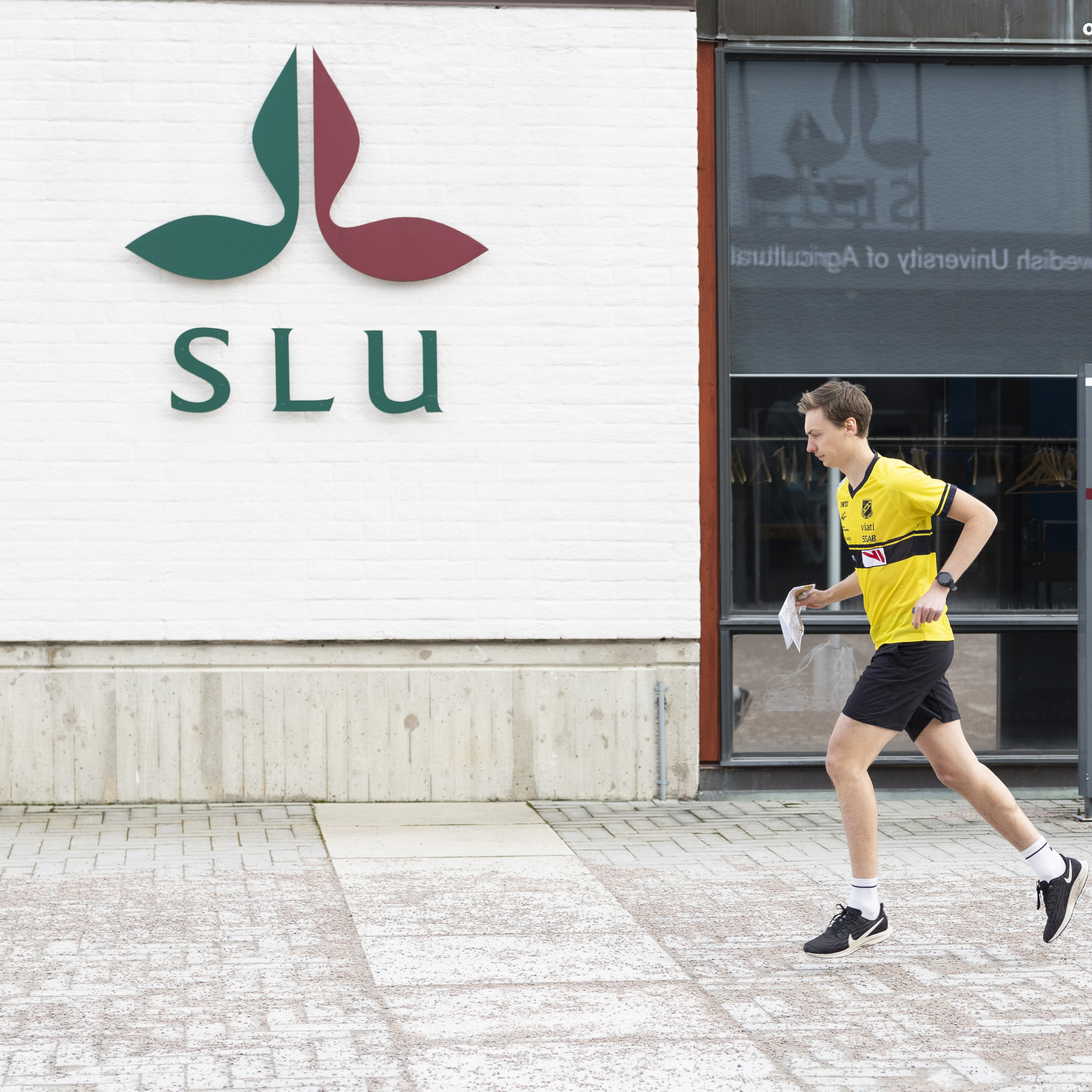 Elitidrottsstudent inom orientering står vid SLU logga
