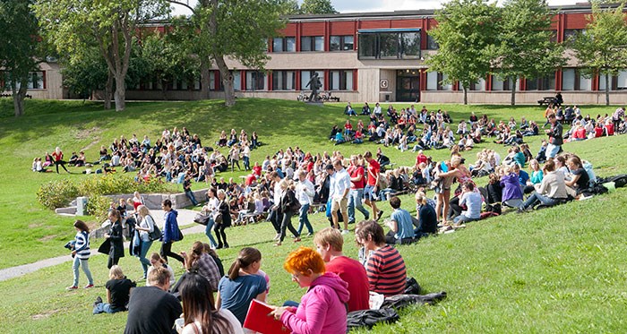 Studenter på campus, foto.