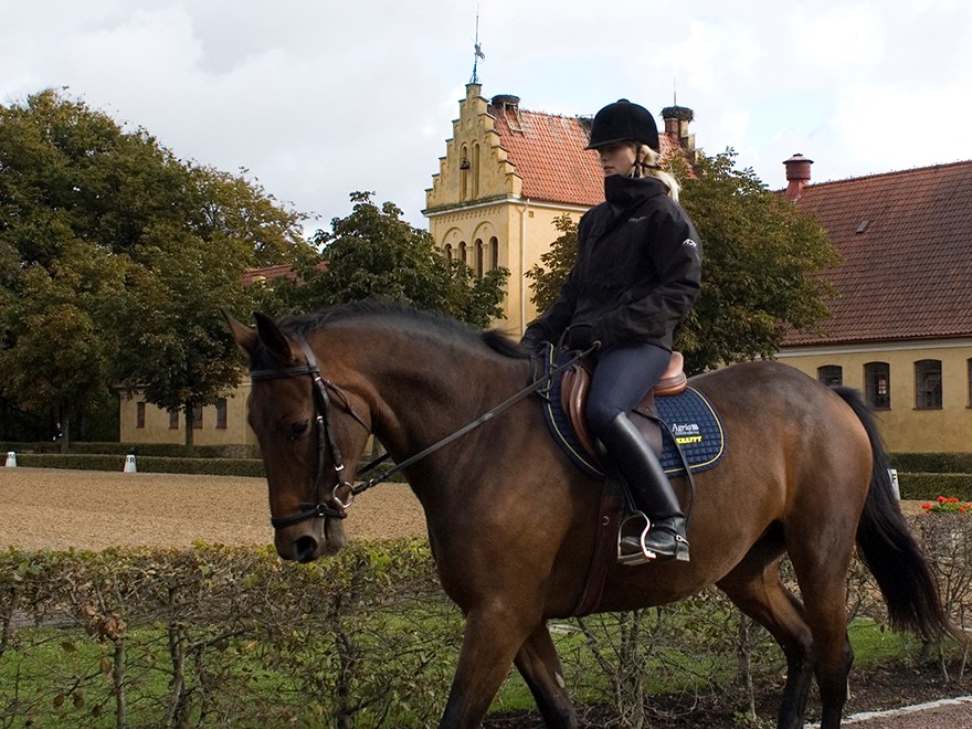 Blond, kvinnlig student skrittar en brun häst på strama tyglar vid Flyinge, Skåne. Foto.