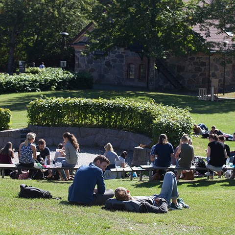 Students have lunch and rest on the lawn at Ultuna campus, photo.