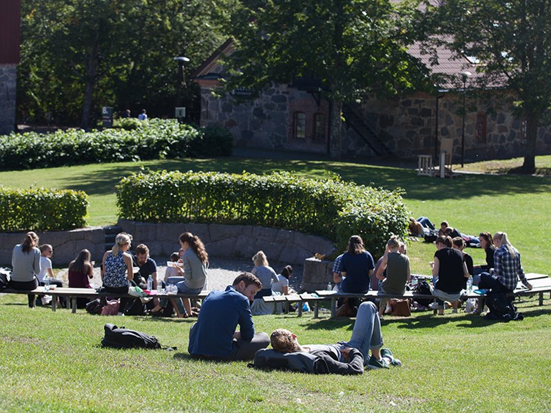 Studenter äter lunch och vilar på gräsmattan på campus Ultuna, foto.