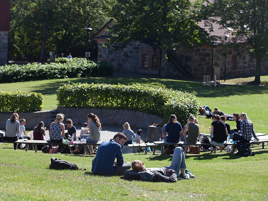 Students have lunch and rest on the lawn at Ultuna campus, photo.