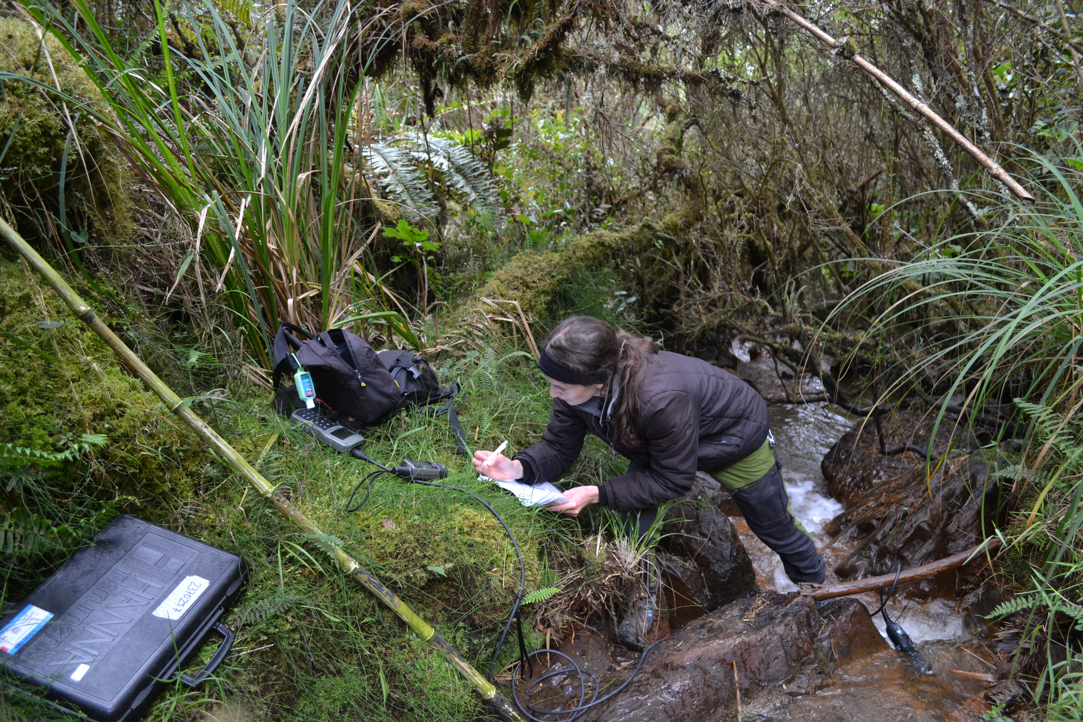 bild på Julia ute i fält i ett paramoområde i  Colombia