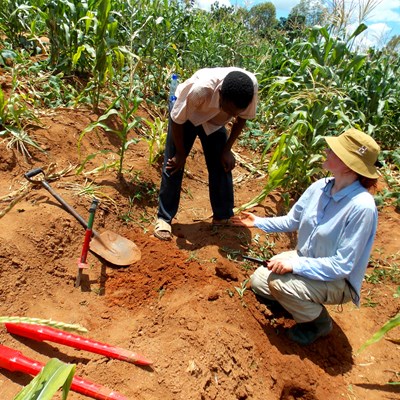 Sofie och en man undersöker jorden i ett majsfält