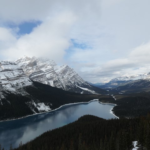 picture of Peyto Lake i Banff, Canada