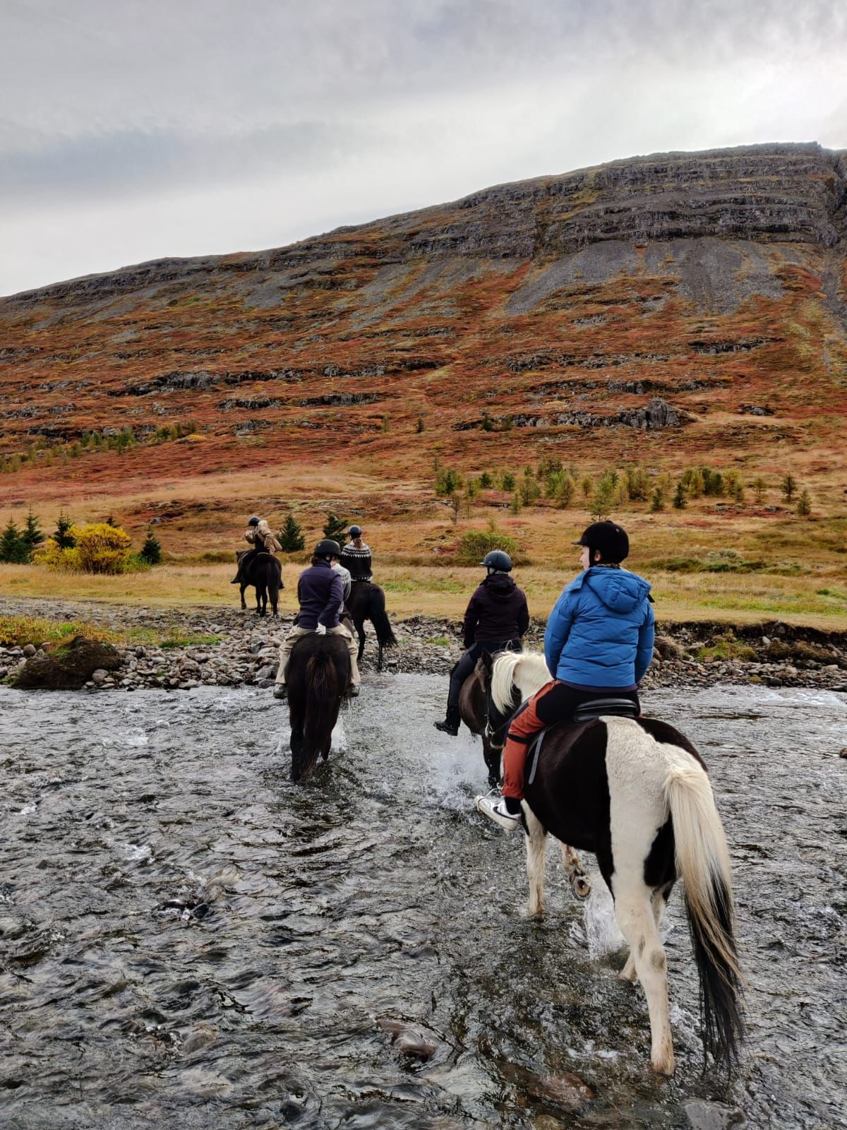 Horseback riding in the Westfjords  of Iceland