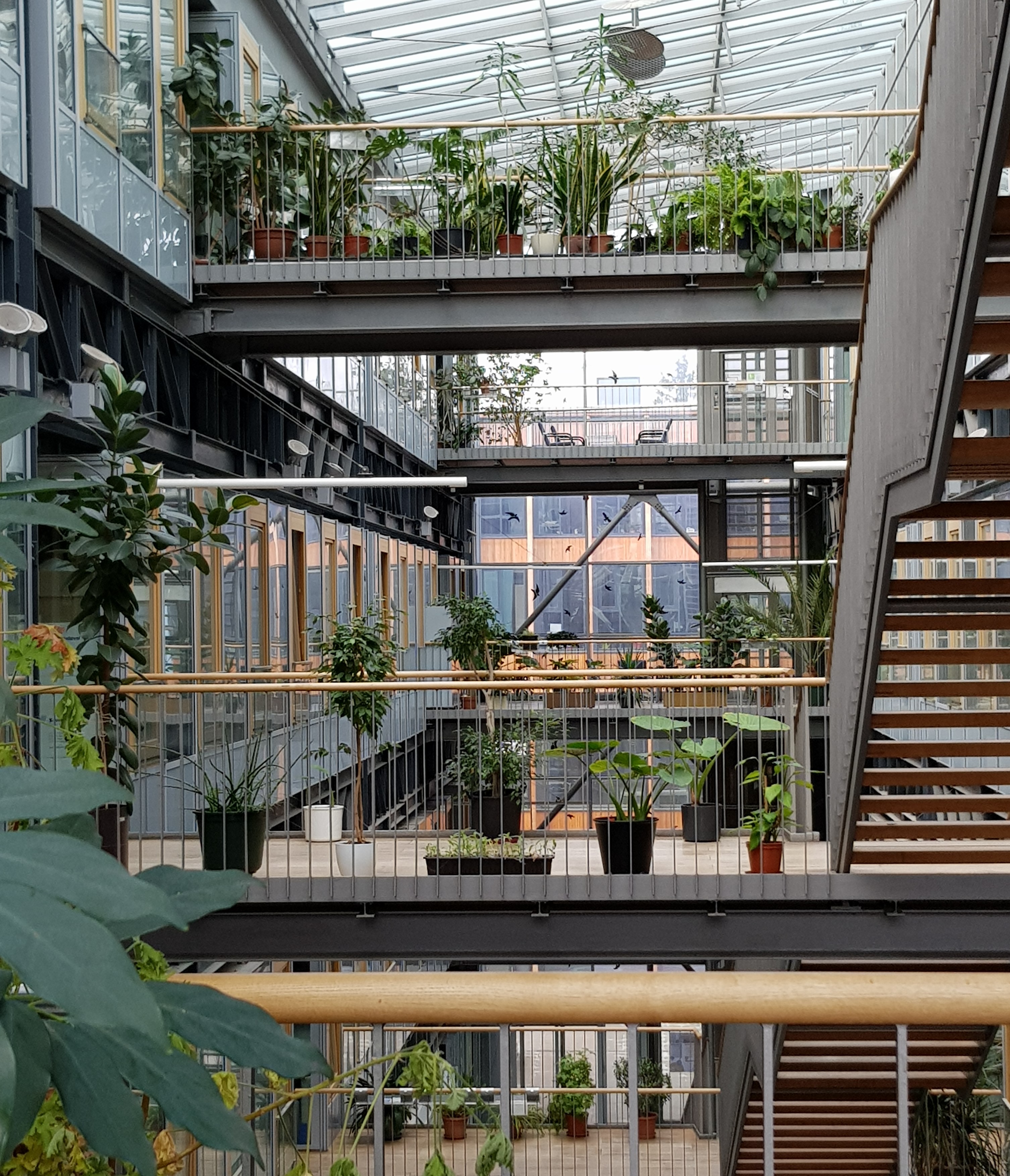 Picture from one of the Campuses buildings 