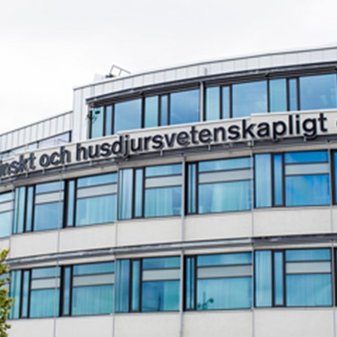 vhc_nya_webben_415x240x.jpg vhc_nya_webben_415x240x.jpg